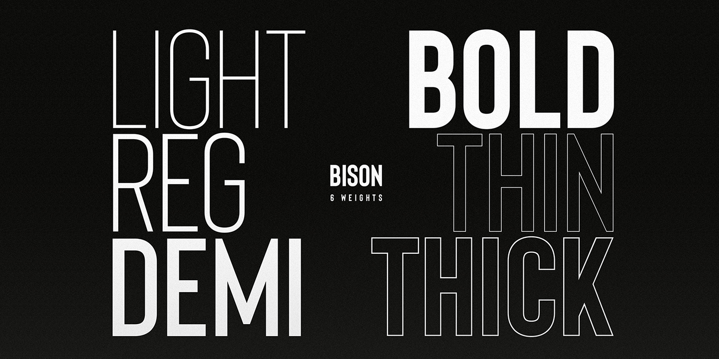 Beispiel einer Bison Light Italic-Schriftart